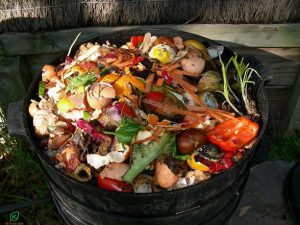 6 loại phân bón hữu cơ tại nhà 6 loại phân bón hữu cơ tại nhà