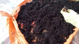 6 loại phân bón hữu cơ tại nhà 6 loại phân bón hữu cơ tại nhà