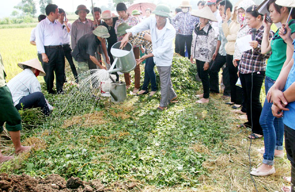 Chọn lựa phân hữu cơ tốt nhất cho cây trồng Chọn lựa phân hữu cơ tốt nhất cho cây trồng