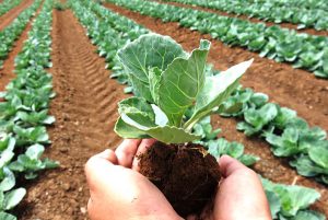 Khái niệm chung về chế phẩm sinh học