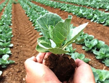 Khái niệm chung về chế phẩm sinh học