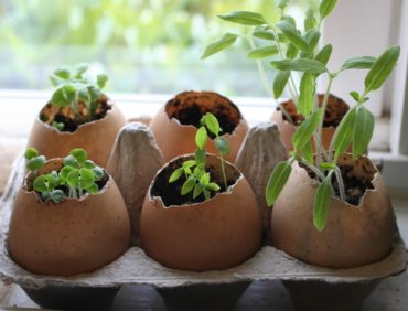 Phân bón hữu cơ an toàn cho môi trường