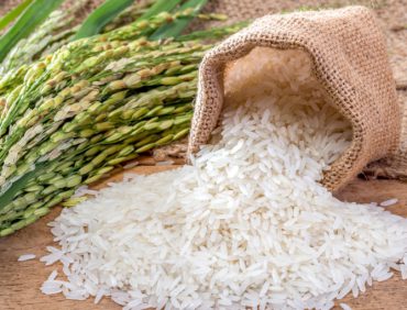 6 Ưu điểm vượt trội của gạo hữu cơ so với gạo thông thường