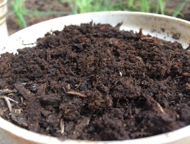 TÁC DỤNG CỦA PHÂN BÓN HỮU CƠ VI SINH ĐỐI VỚI CÂY TRỒNG