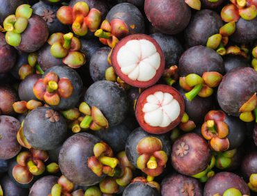 Trồng và nhân giống cây măng cụt