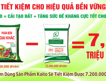 Cách sử dụng phân bón Kaito