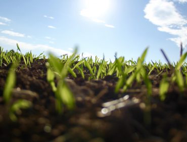 VI SINH VẬT TRONG PHÂN KAITO HỮU CƠ