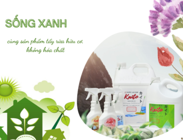 Sống xanh cùng sản phẩm tẩy rửa hữu cơ, không hóa chất