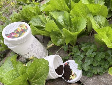 Phân bò Kaito hữu cơ bón cây rau màu