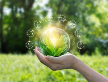 Sống xanh là gì? Áp dụng lối sống xanh vào cuộc sống