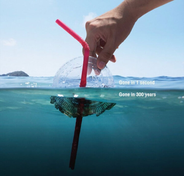 Sống xanh là gì? Áp dụng lối sống xanh vào cuộc sống