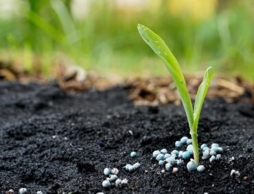 Phân bón hữu cơ ở Việt Nam