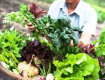 Nhận biết rau củ hữu cơ