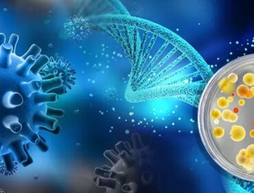 Vi sinh vật bản địa