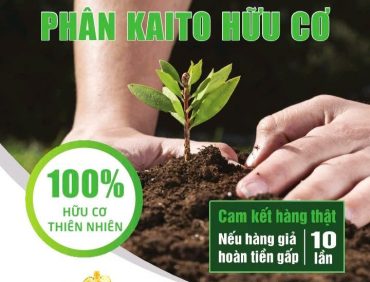 Thông tin chi tiết về phân Kaito hữu cơ